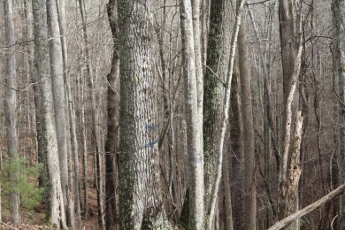 PRICE REDUCTION - Lot 15 - 2.52 Acres (M/L) - Located in on Pipestem Golf Club - Regulation in West Virginia - for sale on GolfHomes.com, golf home, golf lot