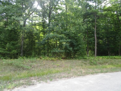 Nice wooded lot close to downtown Indian River. Close to Burt on Indian River Golf Club in Michigan - for sale on GolfHomes.com, golf home, golf lot