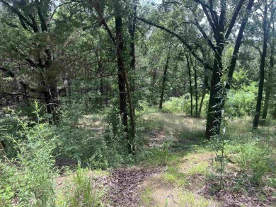 Beautiful sloped 1-acre lot in the highly desirable Nob Hill on Cadron Valley Country Club in Arkansas - for sale on GolfHomes.com, golf home, golf lot