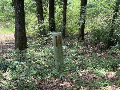 Beautiful sloped 1-acre lot in the highly desirable Nob Hill on Cadron Valley Country Club in Arkansas - for sale on GolfHomes.com, golf home, golf lot