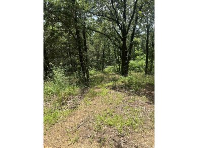 Beautiful sloped 1-acre lot in the highly desirable Nob Hill on Cadron Valley Country Club in Arkansas - for sale on GolfHomes.com, golf home, golf lot