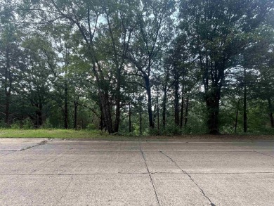Beautiful sloped 1-acre lot in the highly desirable Nob Hill on Cadron Valley Country Club in Arkansas - for sale on GolfHomes.com, golf home, golf lot