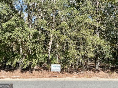 Build your Beautiful Custom Home on this Stunning lot nestled on Okefenokee Country Club in Georgia - for sale on GolfHomes.com, golf home, golf lot