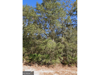 Build your Beautiful Custom Home on this Stunning lot nestled on Okefenokee Country Club in Georgia - for sale on GolfHomes.com, golf home, golf lot