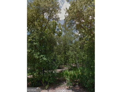 Build your Beautiful Custom Home on this Stunning lot nestled on Okefenokee Country Club in Georgia - for sale on GolfHomes.com, golf home, golf lot