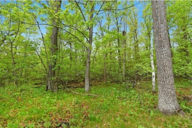 Discover 1.6 acres of serene, wooded land with no builder on Maddens on Gull Lake - The Classic at Maddens in Minnesota - for sale on GolfHomes.com, golf home, golf lot