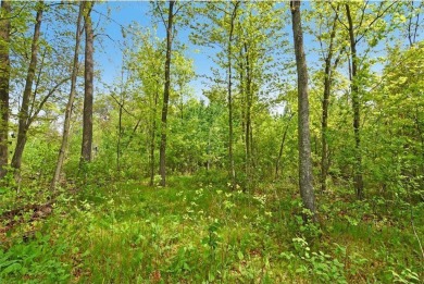 Discover 1.6 acres of serene, wooded land with no builder on Maddens on Gull Lake - The Classic at Maddens in Minnesota - for sale on GolfHomes.com, golf home, golf lot