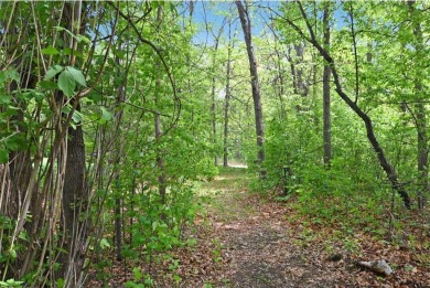 Discover 1.6 acres of serene, wooded land with no builder on Maddens on Gull Lake - The Classic at Maddens in Minnesota - for sale on GolfHomes.com, golf home, golf lot
