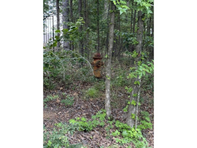 Amazing Views of Middle Fork on Greers Ferry Lake!   Long Lot on Indian Hills Country Club in Arkansas - for sale on GolfHomes.com, golf home, golf lot