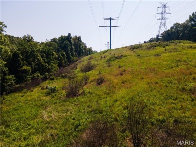 Developer's Dream: 40.7 Acres Zoned PUD Near Fenton  High Ridge on Paradise Valley Country Club in Missouri - for sale on GolfHomes.com, golf home, golf lot