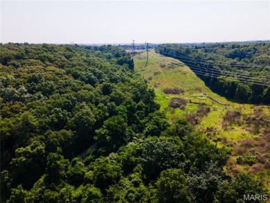 Developer's Dream: 40.7 Acres Zoned PUD Near Fenton  High Ridge on Paradise Valley Country Club in Missouri - for sale on GolfHomes.com, golf home, golf lot