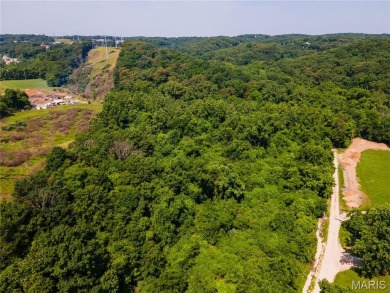 Developer's Dream: 40.7 Acres Zoned PUD Near Fenton  High Ridge on Paradise Valley Country Club in Missouri - for sale on GolfHomes.com, golf home, golf lot