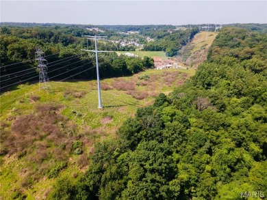 Developer's Dream: 40.7 Acres Zoned PUD Near Fenton  High Ridge on Paradise Valley Country Club in Missouri - for sale on GolfHomes.com, golf home, golf lot