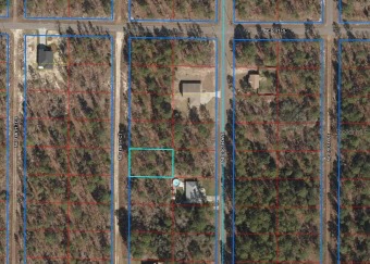 1/4 ACRE BUILDING LOT ON THE BACK SIDE OF THE OLD GOLF COURSE on Williston Highlands Golf & Country Club in Florida - for sale on GolfHomes.com, golf home, golf lot
