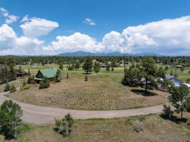 Lauri Heraty, ENGEL  VOLKERS Pagosa Springs, C: , lauri,  : This on Pagosa Springs Golf Club in Colorado - for sale on GolfHomes.com, golf home, golf lot