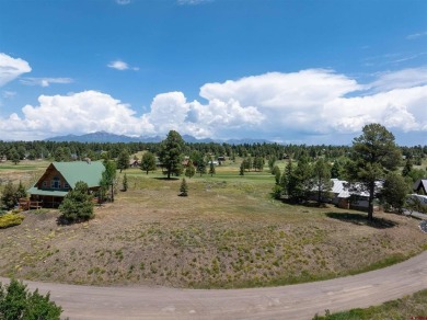Lauri Heraty, ENGEL  VOLKERS Pagosa Springs, C: , lauri,  : This on Pagosa Springs Golf Club in Colorado - for sale on GolfHomes.com, golf home, golf lot