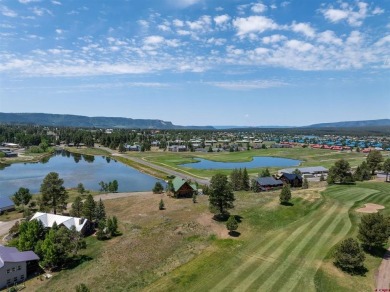 Lauri Heraty, ENGEL  VOLKERS Pagosa Springs, C: , lauri,  : This on Pagosa Springs Golf Club in Colorado - for sale on GolfHomes.com, golf home, golf lot