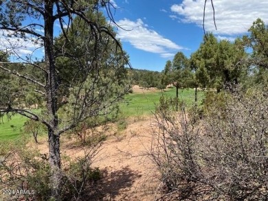 EXTRAORDINARY VIEWS OF THE MOGOLLON RIM! This magnificent 1.05 on The Rim Golf Club in Arizona - for sale on GolfHomes.com, golf home, golf lot