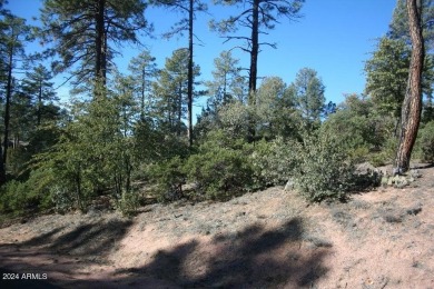 EXTRAORDINARY VIEWS OF THE MOGOLLON RIM! This magnificent 1.05 on The Rim Golf Club in Arizona - for sale on GolfHomes.com, golf home, golf lot