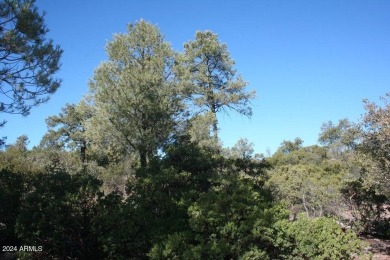 EXTRAORDINARY VIEWS OF THE MOGOLLON RIM! This magnificent 1.05 on The Rim Golf Club in Arizona - for sale on GolfHomes.com, golf home, golf lot