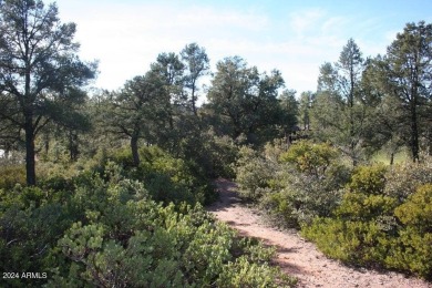 EXTRAORDINARY VIEWS OF THE MOGOLLON RIM! This magnificent 1.05 on The Rim Golf Club in Arizona - for sale on GolfHomes.com, golf home, golf lot