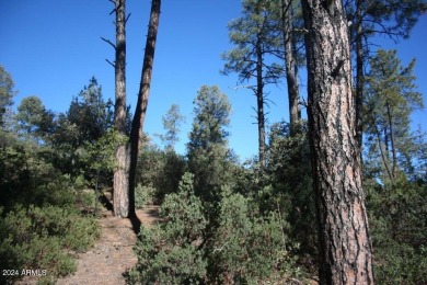 EXTRAORDINARY VIEWS OF THE MOGOLLON RIM! This magnificent 1.05 on The Rim Golf Club in Arizona - for sale on GolfHomes.com, golf home, golf lot