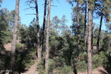 EXTRAORDINARY VIEWS OF THE MOGOLLON RIM! This magnificent 1.05 on The Rim Golf Club in Arizona - for sale on GolfHomes.com, golf home, golf lot