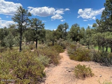 EXTRAORDINARY VIEWS OF THE MOGOLLON RIM! This magnificent 1.05 on The Rim Golf Club in Arizona - for sale on GolfHomes.com, golf home, golf lot