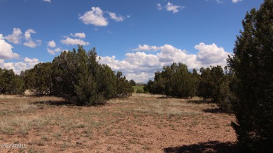 Beautiful tree filled (.51 acres) lot with both lake and golf on Silver Creek Golf Club in Arizona - for sale on GolfHomes.com, golf home, golf lot