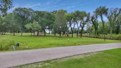 Experience the luxurious lake living this community offers! This on Cedar Creek Country Club in Texas - for sale on GolfHomes.com, golf home, golf lot