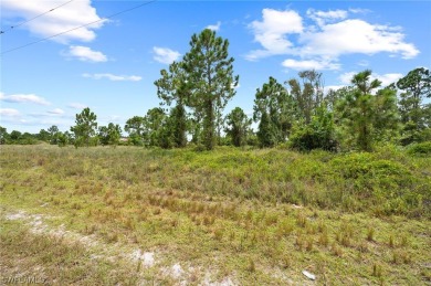 Excellent location! This Residential lot is just minutes from on Mirror Lakes Golf Club in Florida - for sale on GolfHomes.com, golf home, golf lot