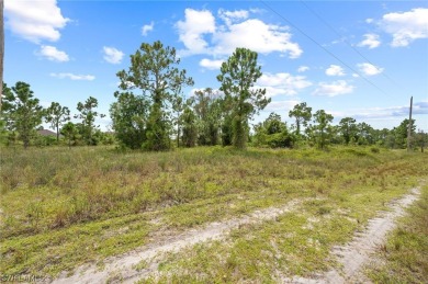 Excellent location! This Residential lot is just minutes from on Mirror Lakes Golf Club in Florida - for sale on GolfHomes.com, golf home, golf lot