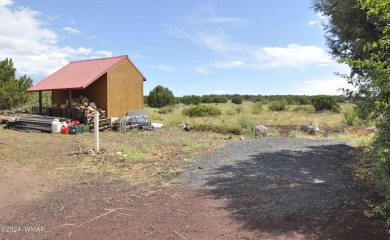 Beautiful 3BD/2BA home in the White Mountain Lakes area (short on Silver Creek Golf Club in Arizona - for sale on GolfHomes.com, golf home, golf lot