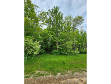 Great Value! This home site, quietly situated in South Haven's on South Haven Golf Club in Michigan - for sale on GolfHomes.com, golf home, golf lot