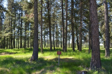 Property and Plans - A Gozzer Ranch Golf Course lot with views on Gozzer Ranch Golf and Lake Club in Idaho - for sale on GolfHomes.com, golf home, golf lot