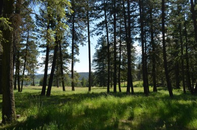 Property and Plans - A Gozzer Ranch Golf Course lot with views on Gozzer Ranch Golf and Lake Club in Idaho - for sale on GolfHomes.com, golf home, golf lot