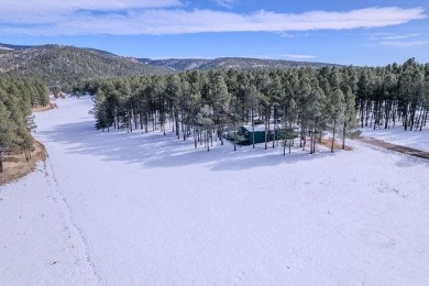 OPEN HOUSE Sunday, January 19th 11am - 12:30pm - public and on Angel Fire Resort Country Club in New Mexico - for sale on GolfHomes.com, golf home, golf lot