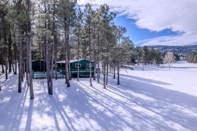 OPEN HOUSE Sunday, January 19th 11am - 12:30pm - public and on Angel Fire Resort Country Club in New Mexico - for sale on GolfHomes.com, golf home, golf lot