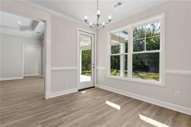 Quality New Construction by Local Builder Josselyn Homes! on The Golf Club At Sanctuary Cove in Georgia - for sale on GolfHomes.com, golf home, golf lot