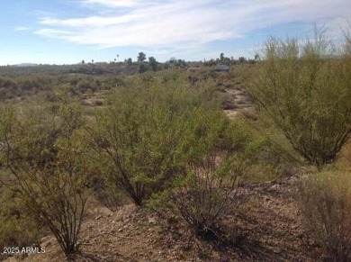 79 Acres of Horse property in the heart of Wickenburg. The on  in Arizona - for sale on GolfHomes.com, golf home, golf lot