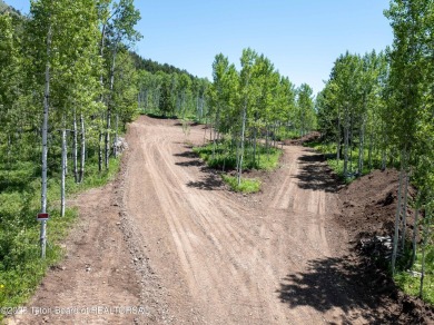 Update 6/21/2025: This lot has just recently been thoughtfully on Cedar Creek Golf Course in Wyoming - for sale on GolfHomes.com, golf home, golf lot