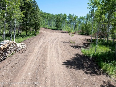 Update 6/21/2025: This lot has just recently been thoughtfully on Cedar Creek Golf Course in Wyoming - for sale on GolfHomes.com, golf home, golf lot
