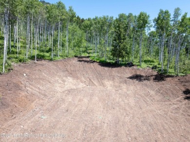 Update 6/21/2025: This lot has just recently been thoughtfully on Cedar Creek Golf Course in Wyoming - for sale on GolfHomes.com, golf home, golf lot