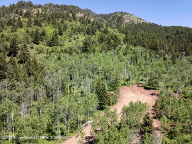 Update 6/21/2025: This lot has just recently been thoughtfully on Cedar Creek Golf Course in Wyoming - for sale on GolfHomes.com, golf home, golf lot