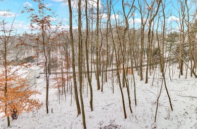 Custom Lake Mohawk stunner! This beautiful 3-bedroom, 3 full on Lake Mohawk Golf Club in Ohio - for sale on GolfHomes.com, golf home, golf lot