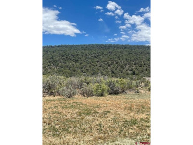 Britany Butler, RE/MAX Alpine View, C: , britanybtlr,  : This on Cedaredge Golf Course in Colorado - for sale on GolfHomes.com, golf home, golf lot