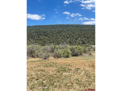 Britany Butler, RE/MAX Alpine View, C: , britanybtlr,  : This on Cedaredge Golf Course in Colorado - for sale on GolfHomes.com, golf home, golf lot