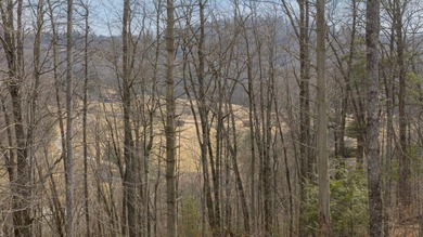 Discover an exceptional opportunity to build your mountain on Old Edwards Club in North Carolina - for sale on GolfHomes.com, golf home, golf lot