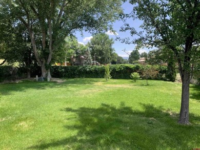 Eric Feely, NextHome Virtual, C: , eric,  : Charming Home in on Black Canyon Golf Club At Montrose in Colorado - for sale on GolfHomes.com, golf home, golf lot