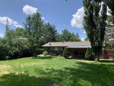 Eric Feely, NextHome Virtual, C: , eric,  : Charming Home in on Black Canyon Golf Club At Montrose in Colorado - for sale on GolfHomes.com, golf home, golf lot